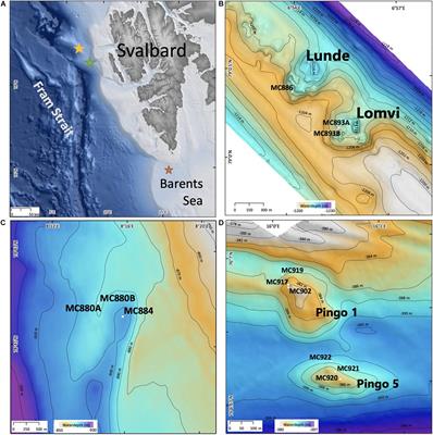 Effectiveness of Fluorescent Viability Assays in Studies of Arctic Cold Seep Foraminifera